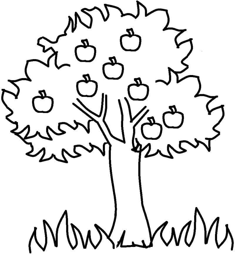 Dibujo gratuito Árbol #190458 de la coleccion Naturaleza y Estaciones para imprimir