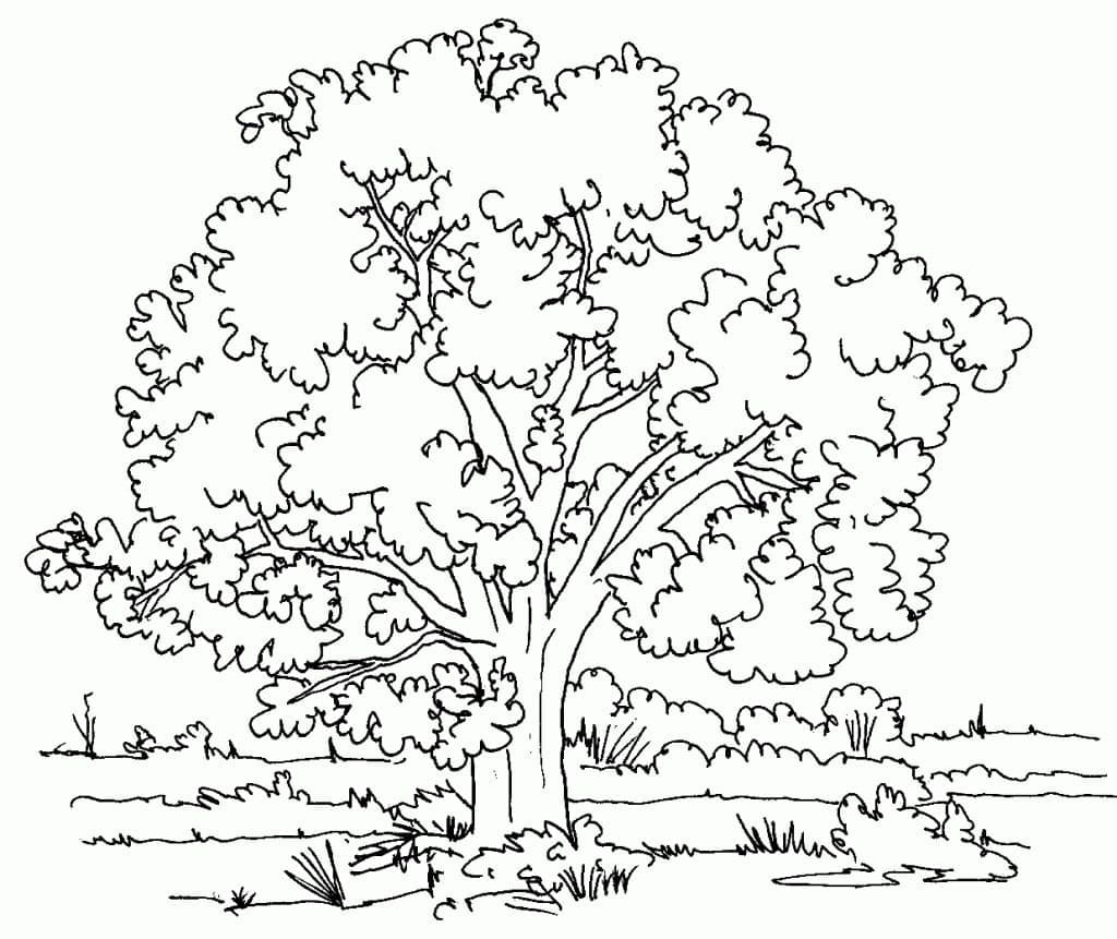 Dibujo gratuito Árbol #190464 de la coleccion Naturaleza y Estaciones para imprimir