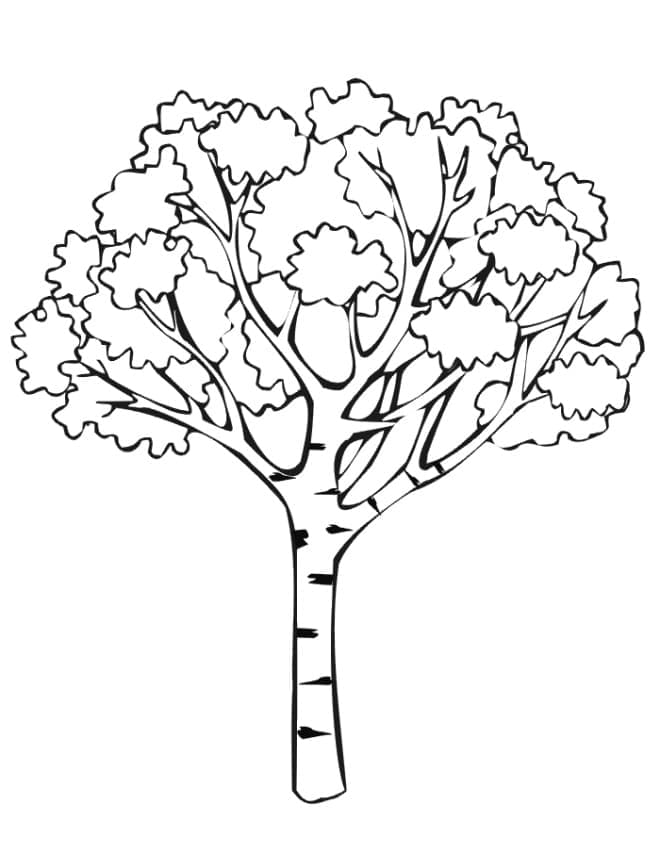 Dibujo gratuito Árbol #190471 de la coleccion Naturaleza y Estaciones para imprimir