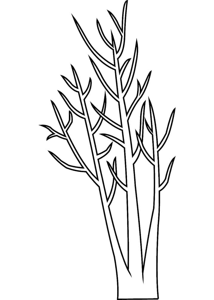 Dibujo gratuito Árbol #190477 de la coleccion Naturaleza y Estaciones para imprimir
