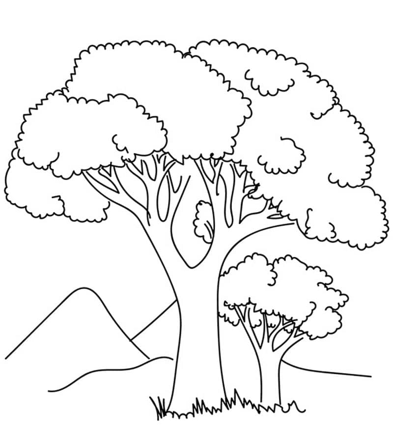 Dibujo gratuito Árbol #190478 de la coleccion Naturaleza y Estaciones para imprimir