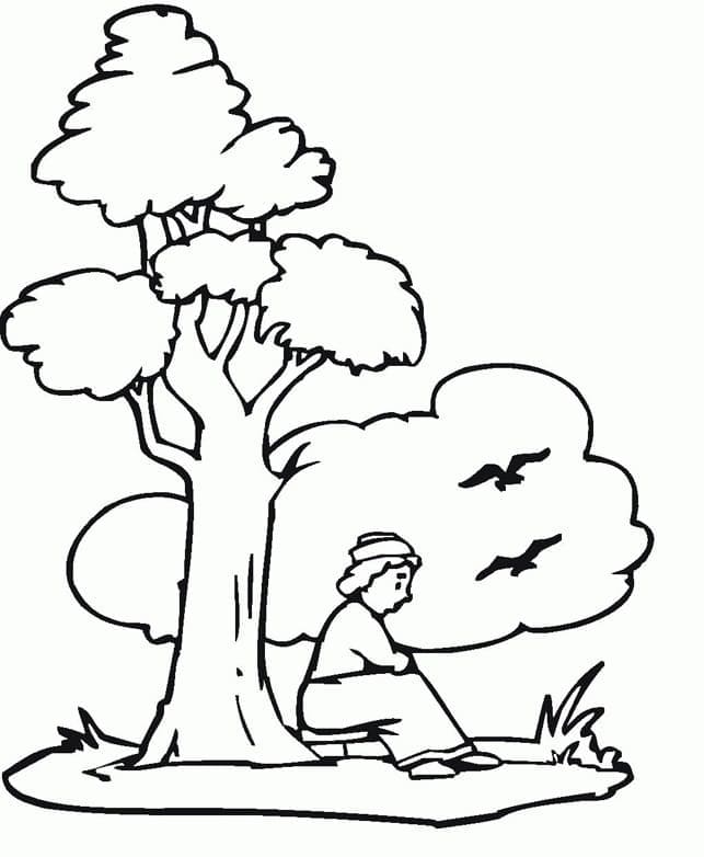 Dibujo gratuito Árbol #190480 de la coleccion Naturaleza y Estaciones para imprimir