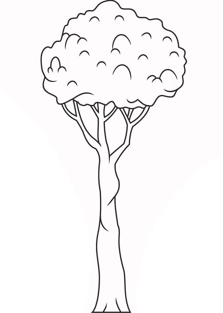 Dibujo gratuito Árbol #190481 de la coleccion Naturaleza y Estaciones para imprimir