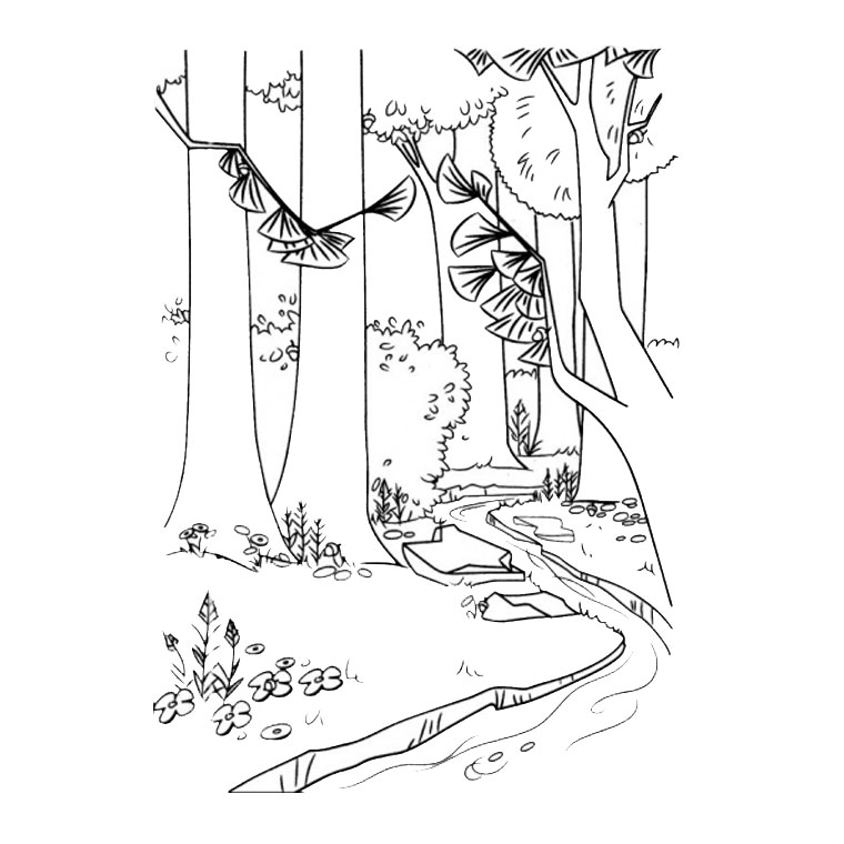 Dibujo gratuito Bosque #157000 de la coleccion Naturaleza y Estaciones para imprimir