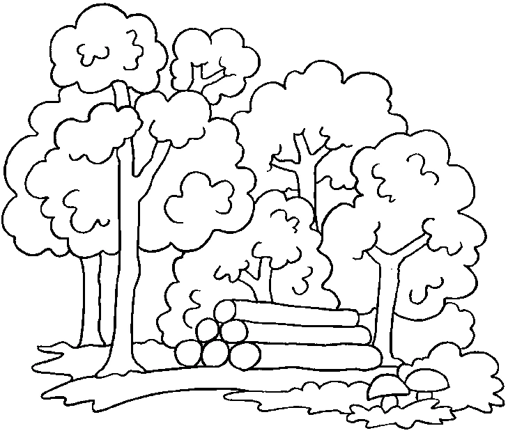 Dibujo gratuito Bosque #157001 de la coleccion Naturaleza y Estaciones para imprimir