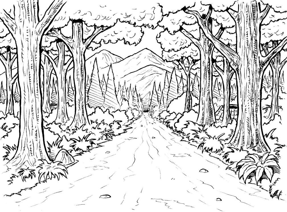 Dibujo para colorear: Bosque (Naturaleza y Estaciones) #157003 - Dibujos para Colorear e Imprimir Gratis