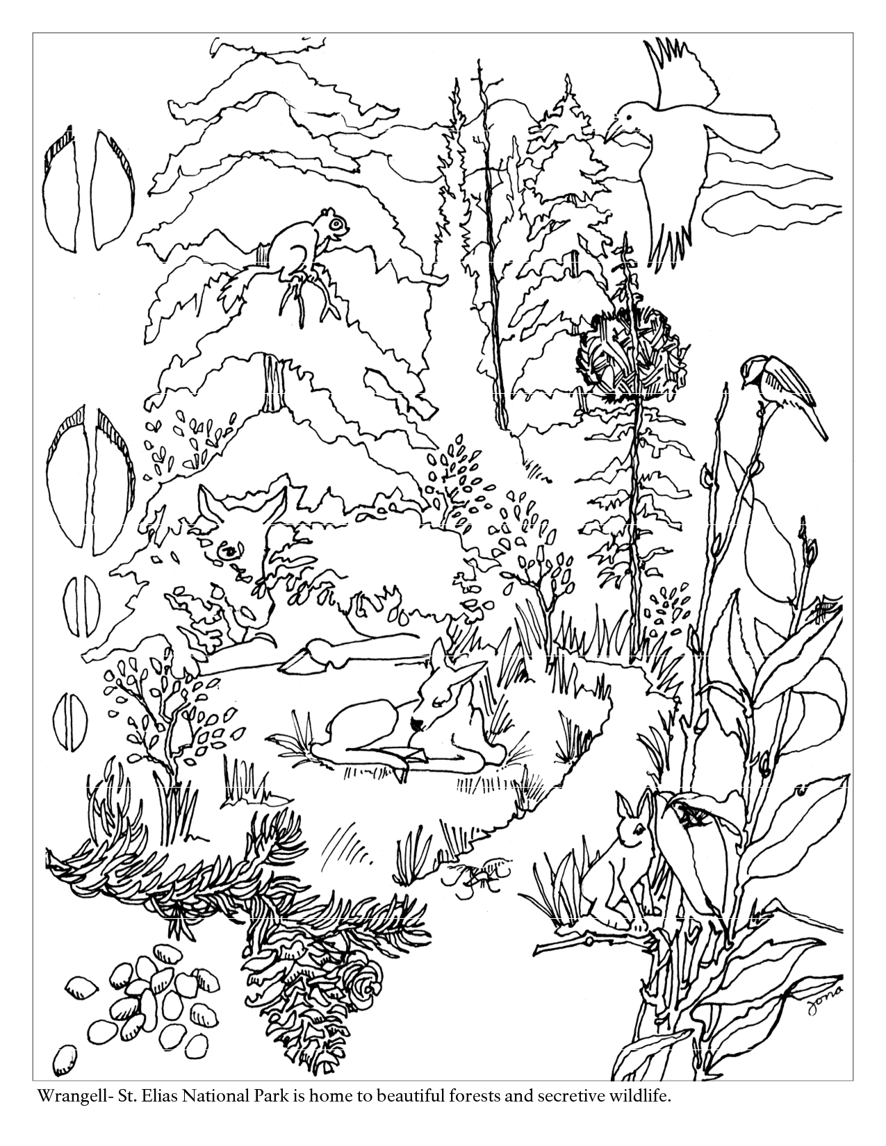 Dibujo para colorear: Bosque (Naturaleza y Estaciones) #157007 - Dibujos para Colorear e Imprimir Gratis