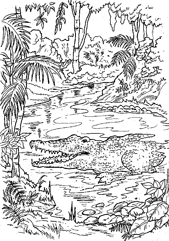 Dibujo gratuito Bosque #157236 de la coleccion Naturaleza y Estaciones para imprimir