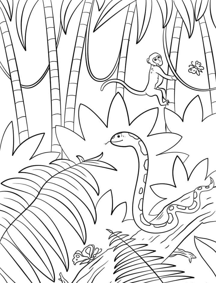 Dibujo gratuito Bosque #191239 de la coleccion Naturaleza y Estaciones para imprimir