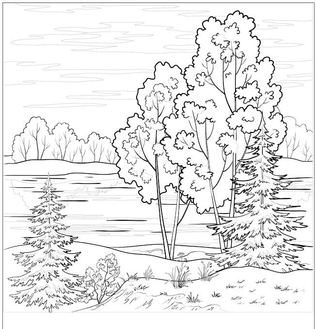 Dibujo gratuito Bosque #191242 de la coleccion Naturaleza y Estaciones para imprimir