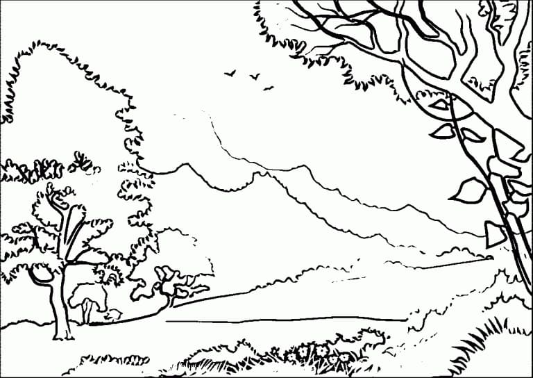 Dibujo gratuito Bosque #191258 de la coleccion Naturaleza y Estaciones para imprimir