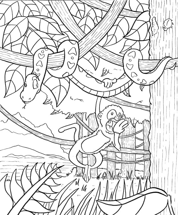 Dibujo gratuito Bosque #191259 de la coleccion Naturaleza y Estaciones para imprimir