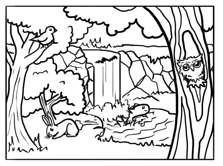 Dibujo gratuito Bosque #191262 de la coleccion Naturaleza y Estaciones para imprimir