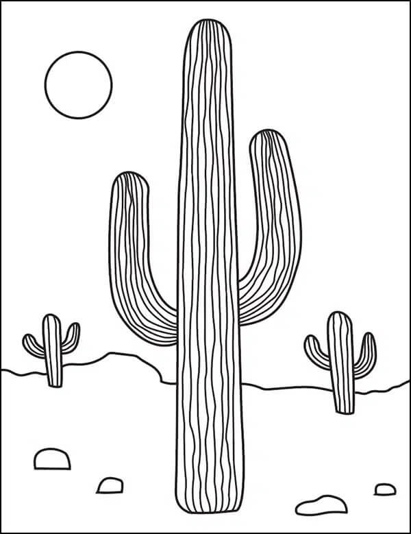 Dibujo para colorear: Cactus (Naturaleza y Estaciones) #170809 - Dibujos para Colorear e Imprimir Gratis