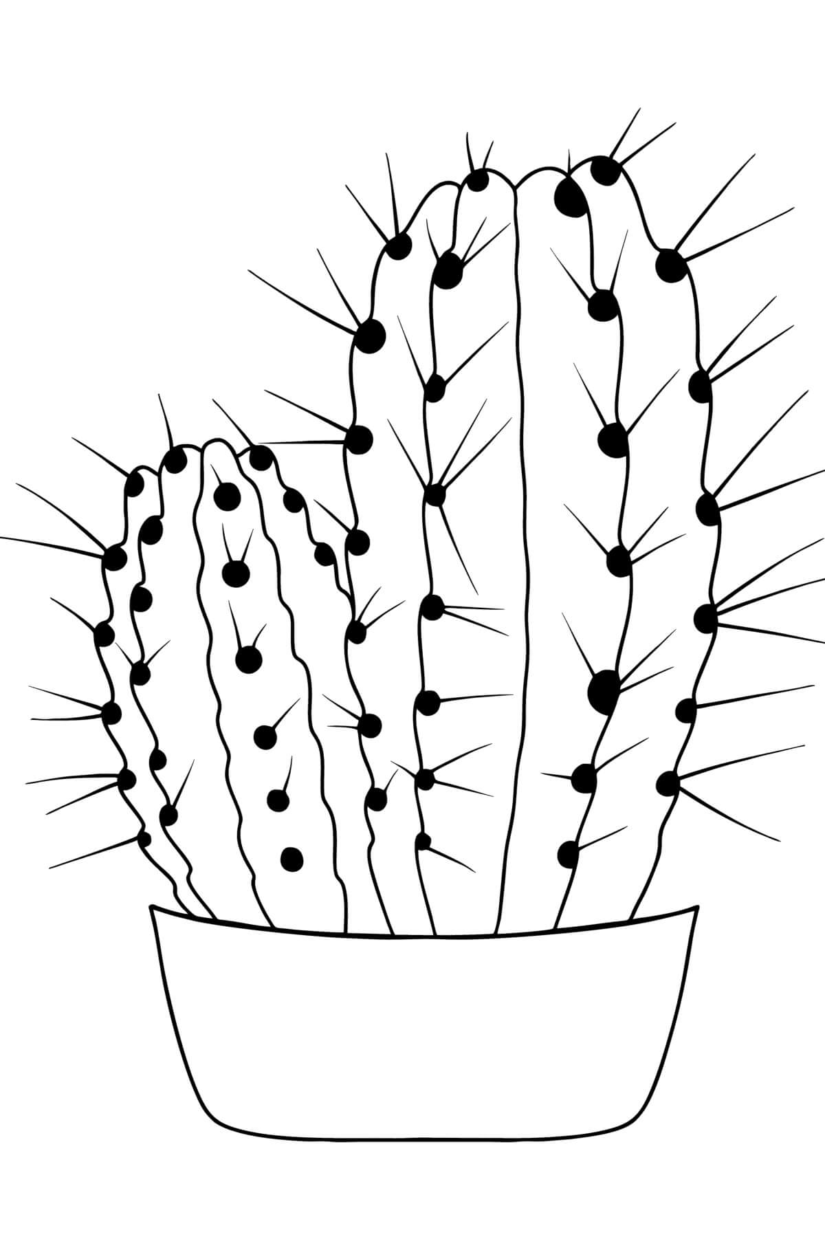 Dibujo gratuito Cactus #170853 de la coleccion Naturaleza y Estaciones para imprimir