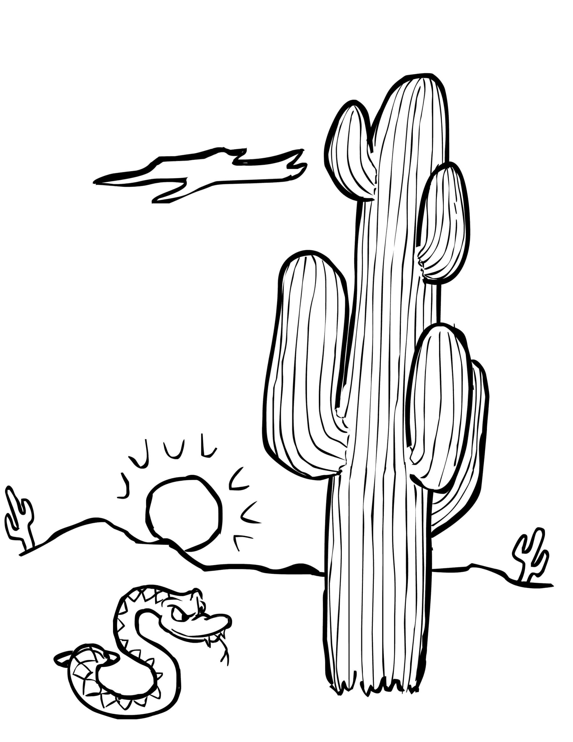 Dibujo gratuito Cactus #170857 de la coleccion Naturaleza y Estaciones para imprimir Dibujo gratuito Cactus #170857 de la coleccion Naturaleza y Estaciones para imprimir