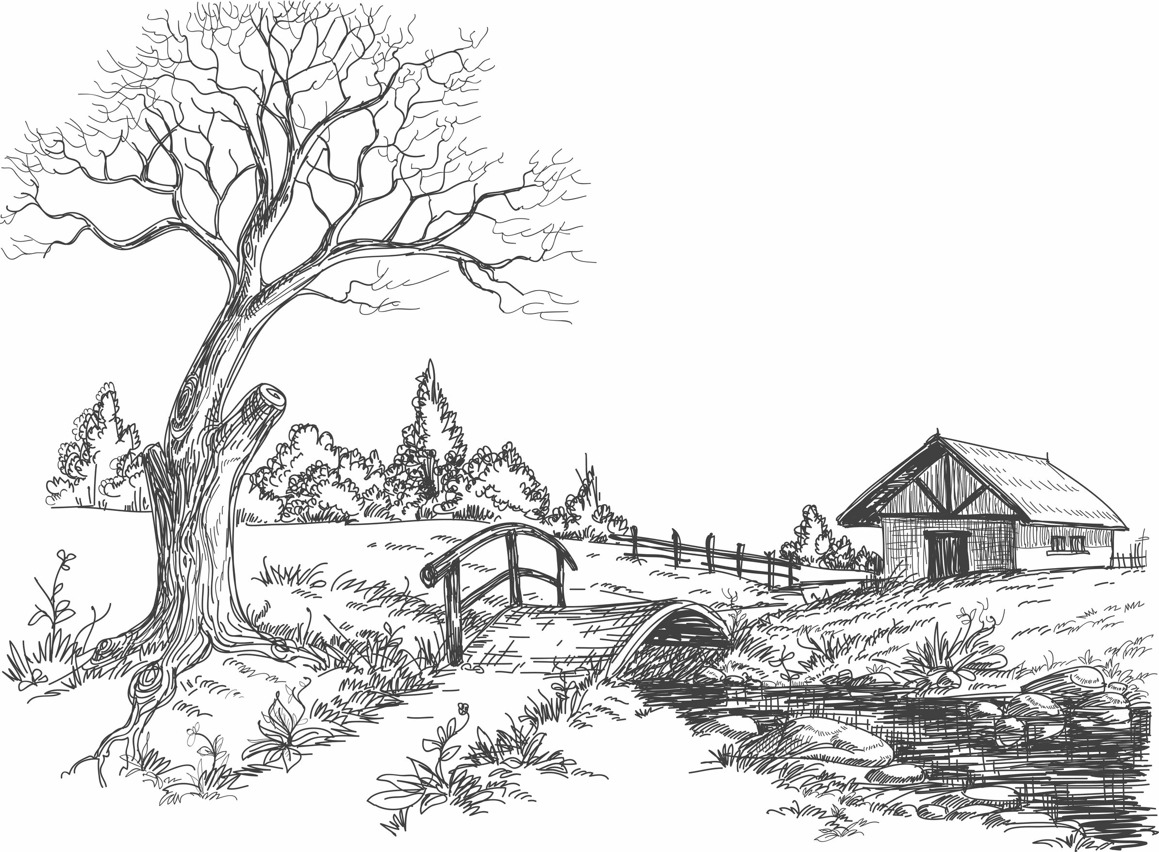 Dibujo gratuito Campo #165468 de la coleccion Naturaleza y Estaciones para imprimir