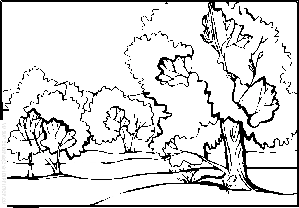 Dibujo gratuito Campo #165517 de la coleccion Naturaleza y Estaciones para imprimir