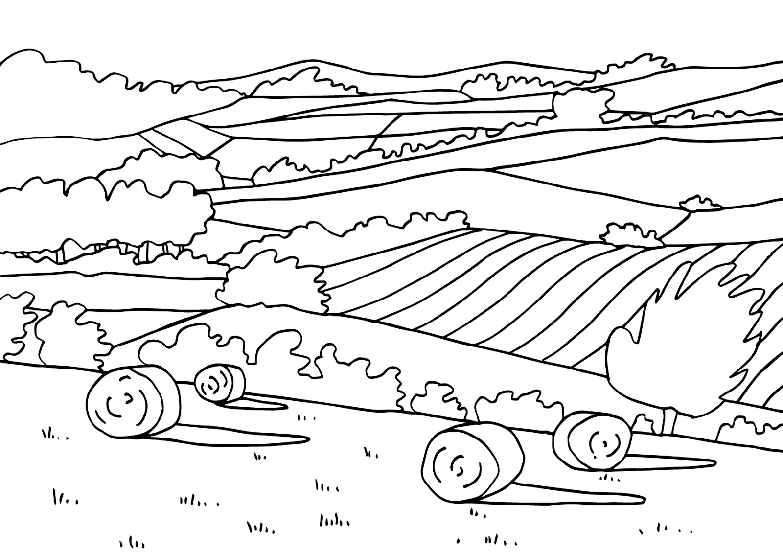 Dibujo gratuito Campo #165520 de la coleccion Naturaleza y Estaciones para imprimir