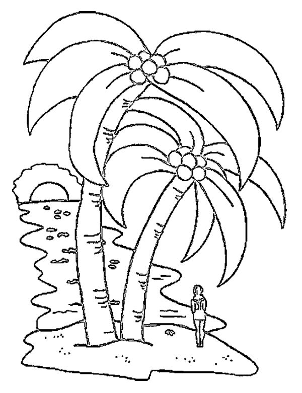 Dibujo para colorear: Cocotero (Naturaleza y Estaciones) #162367 - Dibujos para Colorear e Imprimir Gratis