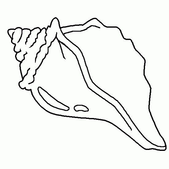 Dibujo gratuito Concha #163159 de la coleccion Naturaleza y Estaciones para imprimir