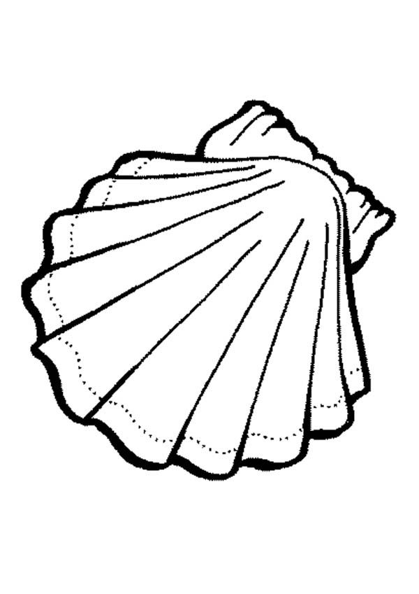 Dibujo para colorear: Concha (Naturaleza y Estaciones) #163203 - Dibujos para Colorear e Imprimir Gratis