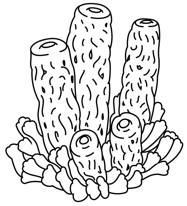 Dibujo para colorear: Coral (Naturaleza y Estaciones) #162777 - Dibujos para Colorear e Imprimir Gratis