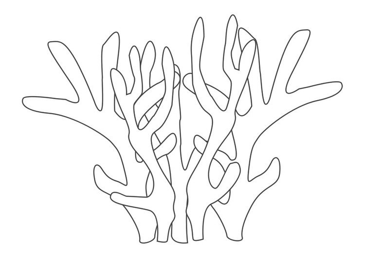 Dibujo para colorear: Coral (Naturaleza y Estaciones) #162778 - Dibujos para Colorear e Imprimir Gratis