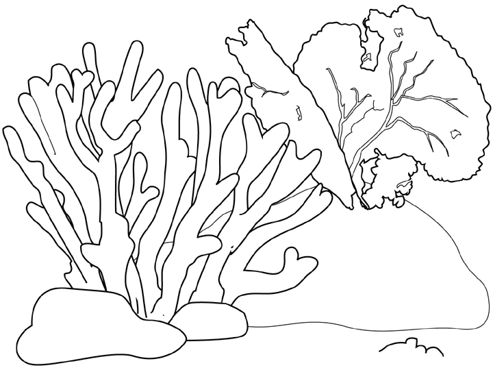 Dibujo para colorear: Coral (Naturaleza y Estaciones) #162779 - Dibujos para Colorear e Imprimir Gratis