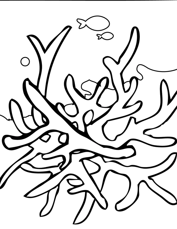 Dibujo para colorear: Coral (Naturaleza y Estaciones) #162890 - Dibujos para Colorear e Imprimir Gratis