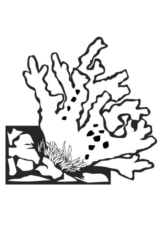 Dibujo gratuito Coral #162938 de la coleccion Naturaleza y Estaciones para imprimir