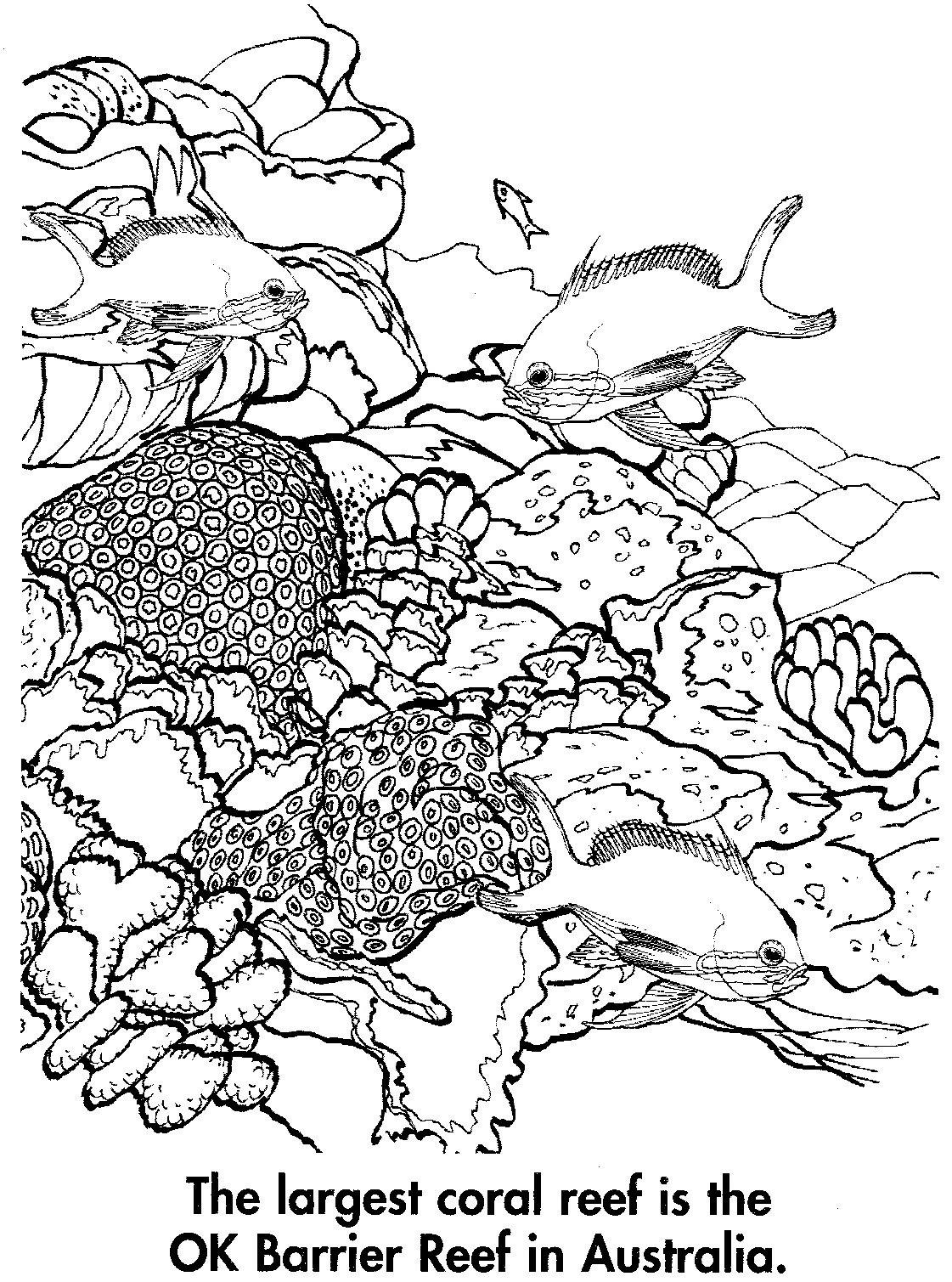 Dibujo gratuito Coral #162971 de la coleccion Naturaleza y Estaciones para imprimir