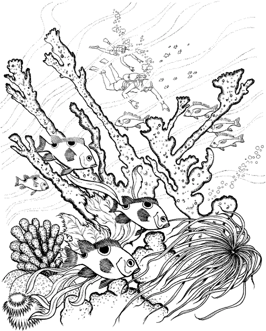 Dibujo gratuito Coral #163012 de la coleccion Naturaleza y Estaciones para imprimir