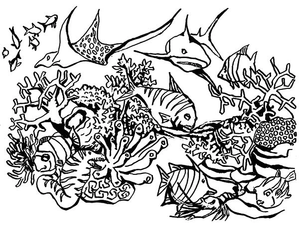 Dibujo para colorear: Coral (Naturaleza y Estaciones) #163066 - Dibujos para Colorear e Imprimir Gratis