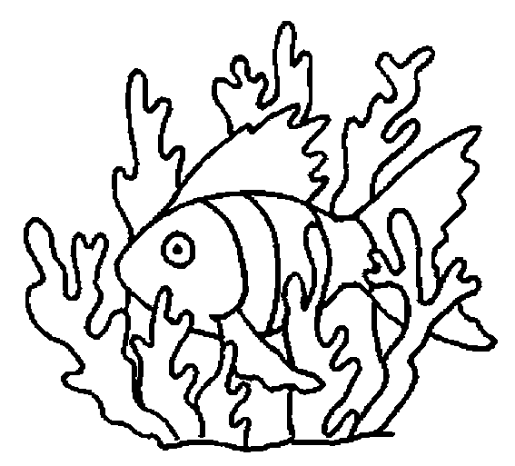 Dibujo para colorear: Coral (Naturaleza y Estaciones) #163133 - Dibujos para Colorear e Imprimir Gratis