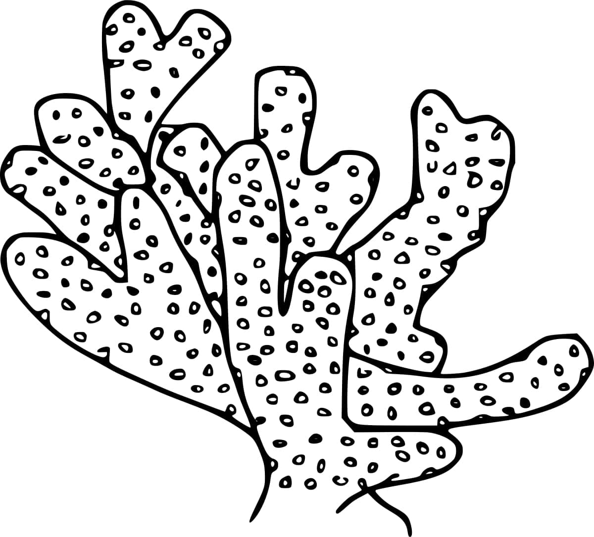 Dibujo gratuito Coral #210309 de la coleccion Naturaleza y Estaciones para imprimir
