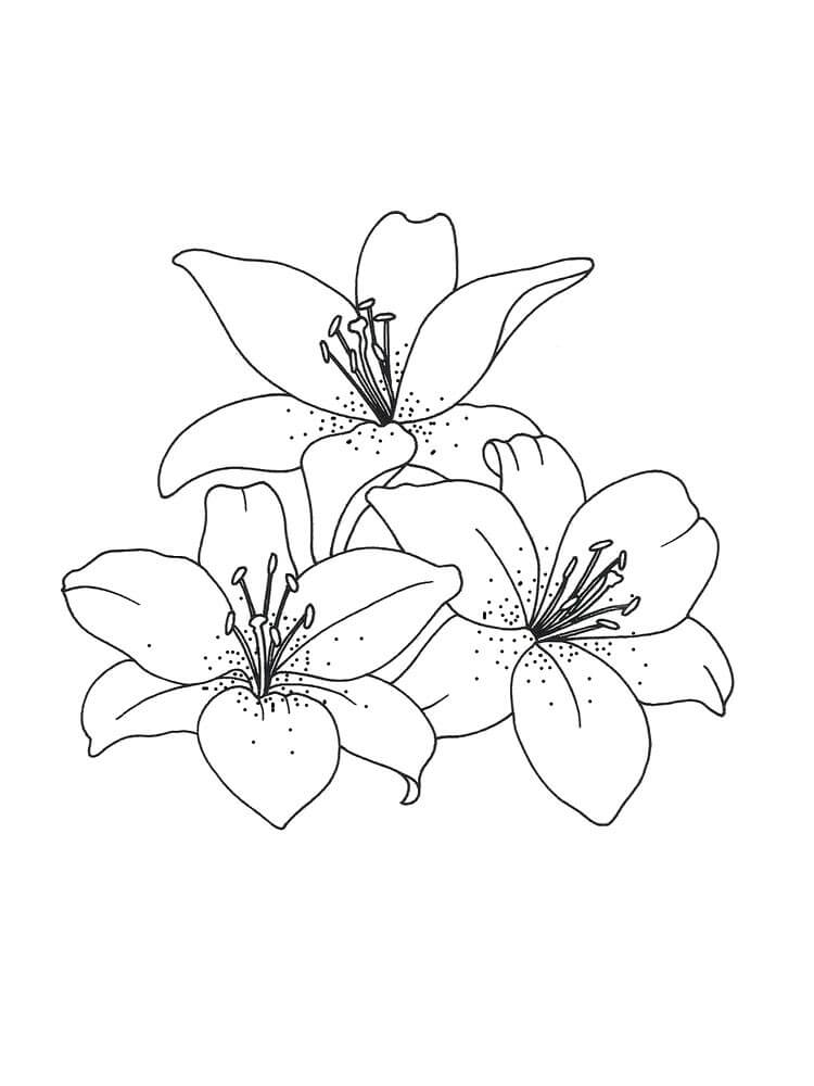 Dibujo gratuito Flor #170864 de la coleccion Naturaleza y Estaciones para imprimir