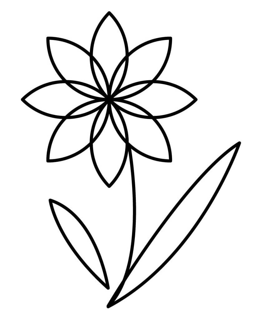 Dibujo gratuito Flor #170881 de la coleccion Naturaleza y Estaciones para imprimir