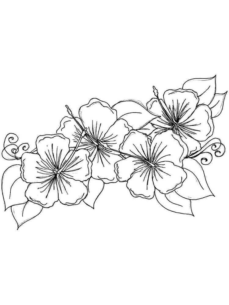 Dibujo gratuito Flor #170989 de la coleccion Naturaleza y Estaciones para imprimir