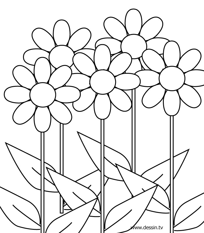 Dibujo gratuito Flores #154997 de la coleccion Naturaleza y Estaciones para imprimir