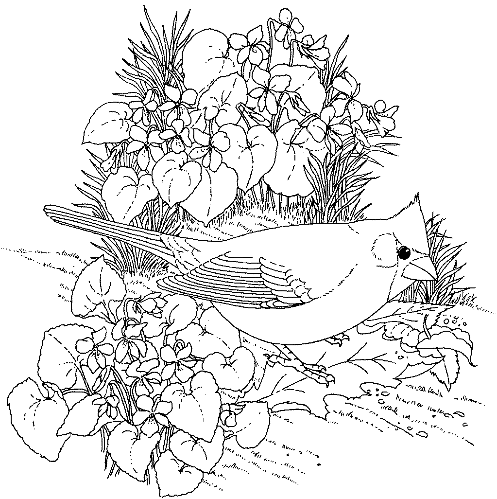 Dibujo gratuito Flores #155090 de la coleccion Naturaleza y Estaciones para imprimir