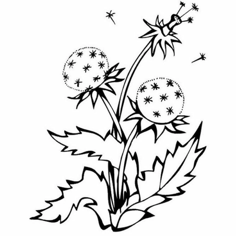 Dibujo gratuito Flores #155158 de la coleccion Naturaleza y Estaciones para imprimir