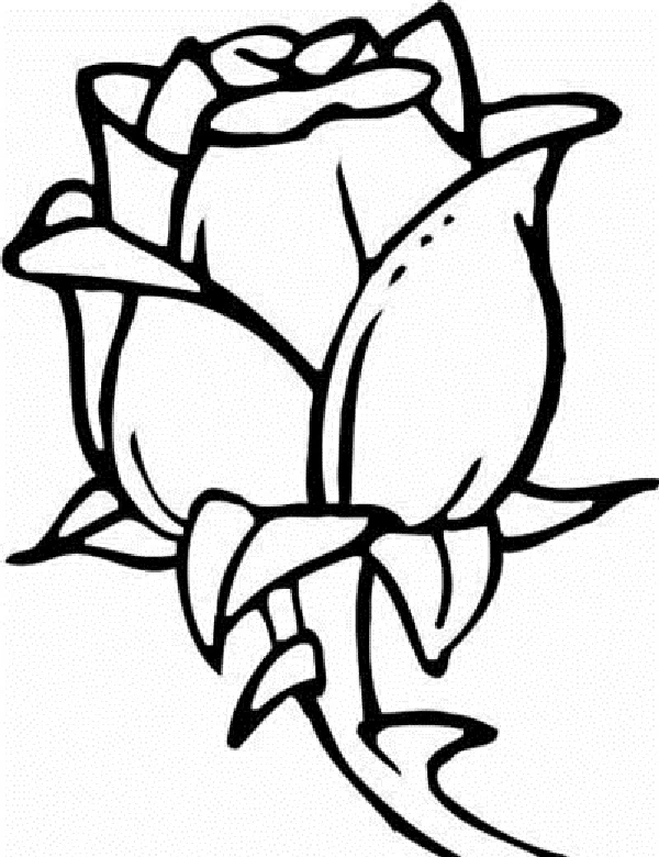 Dibujo gratuito Flores #155204 de la coleccion Naturaleza y Estaciones para imprimir Dibujo gratuito Flores #155204 de la coleccion Naturaleza y Estaciones para imprimir