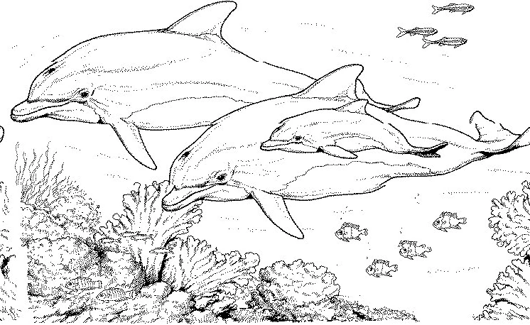Dibujo gratuito Fondo Marino #160116 de la coleccion Naturaleza y Estaciones para imprimir