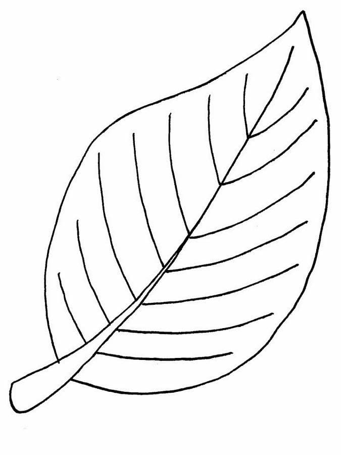Dibujo gratuito Hoja #191833 de la coleccion Naturaleza y Estaciones para imprimir Dibujo gratuito Hoja #191833 de la coleccion Naturaleza y Estaciones para imprimir