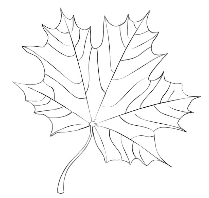 Dibujo para colorear: Hoja de Arce (Naturaleza y Estaciones) #190234 - Dibujos para Colorear e Imprimir Gratis