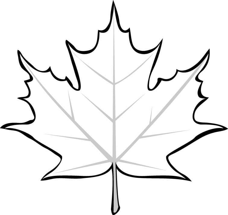 Dibujo gratuito Hoja de Arce #190247 de la coleccion Naturaleza y Estaciones para imprimir