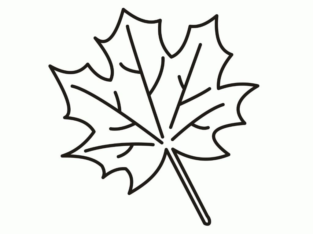 Dibujo gratuito Hoja de Arce #190249 de la coleccion Naturaleza y Estaciones para imprimir