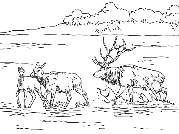 Dibujo gratuito Lago #166158 de la coleccion Naturaleza y Estaciones para imprimir