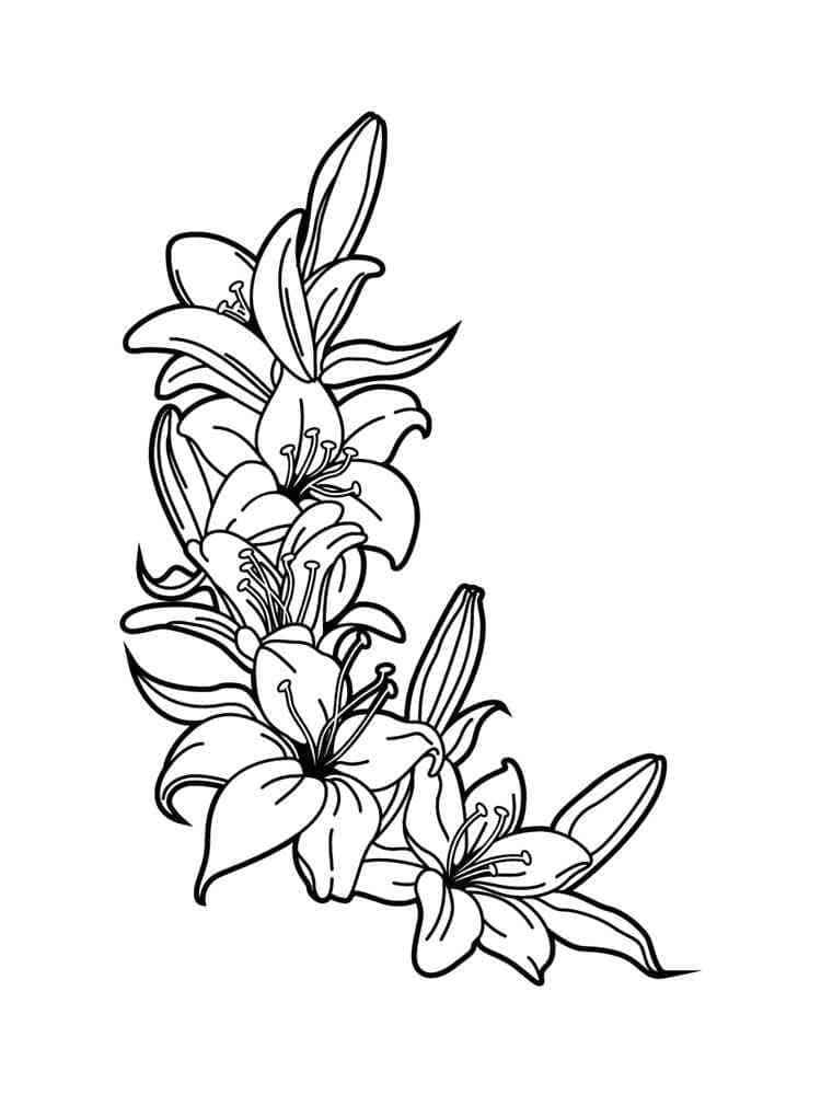 Dibujo gratuito Lirio #182381 de la coleccion Naturaleza y Estaciones para imprimir